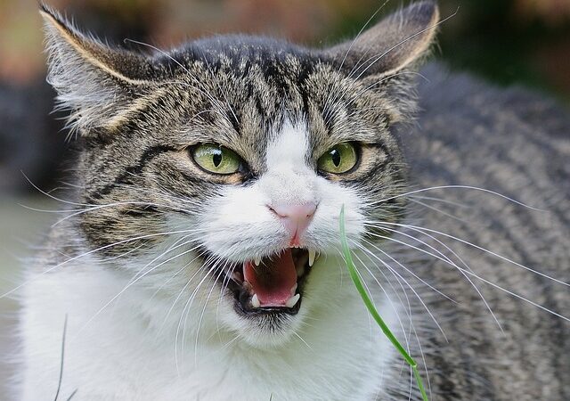 【給与差押え】第三債務者が怒っていて回収が難しそうです 