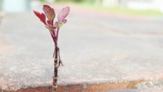 介護職を勧めたい理由はこれ。安定収入を“軸”にする戦略で生活を立て直す 