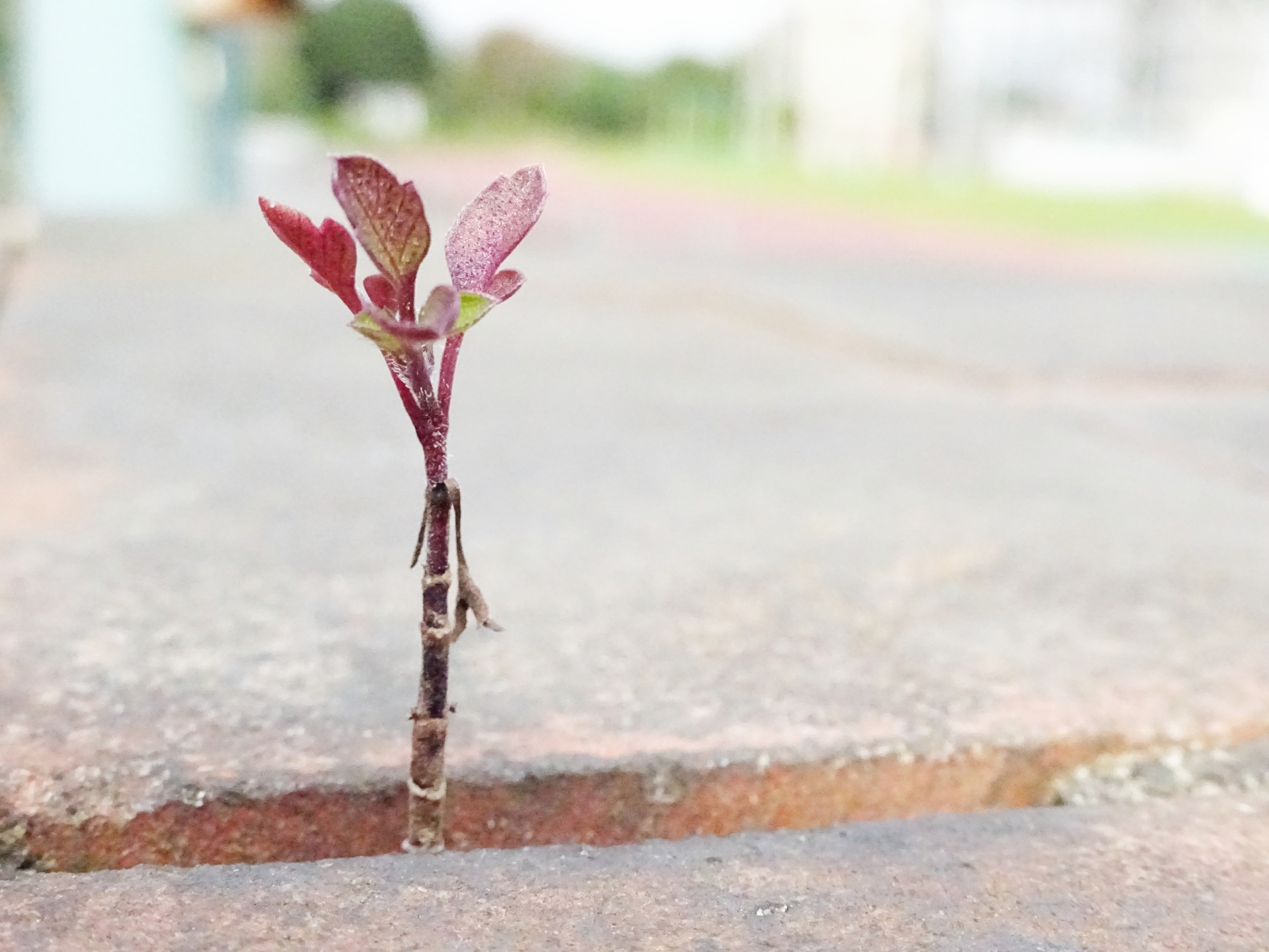 介護職を勧めたい理由はこれ。安定収入を“軸”にする戦略で生活を立て直す